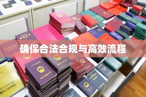 龙州确保合法合规与高效流程