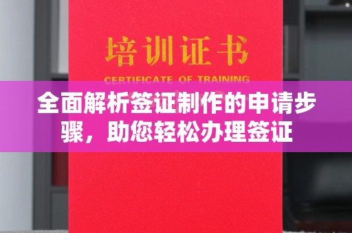 龙州全面解析签证制作的申请步骤，助您轻松办理签证