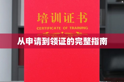 龙州从申请到领证的完整指南