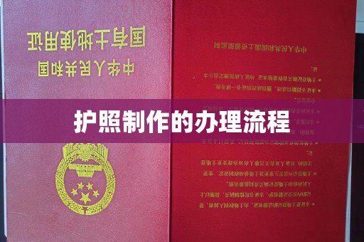 龙州护照制作的办理流程