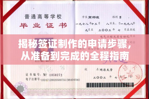 龙州揭秘签证制作的申请步骤，从准备到完成的全程指南