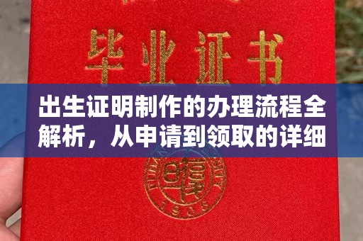 龙州出生证明制作的办理流程全解析，从申请到领取的详细指南