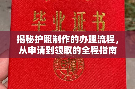 龙州揭秘护照制作的办理流程，从申请到领取的全程指南