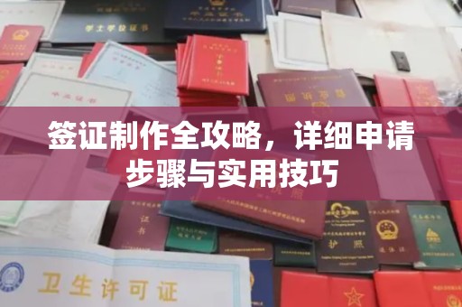 龙州签证制作全攻略，详细申请步骤与实用技巧