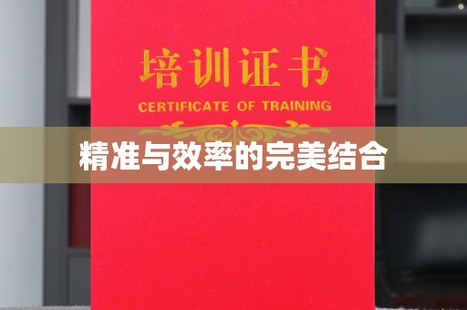 龙州精准与效率的完美结合