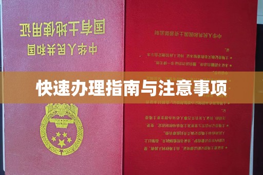 龙州快速办理指南与注意事项